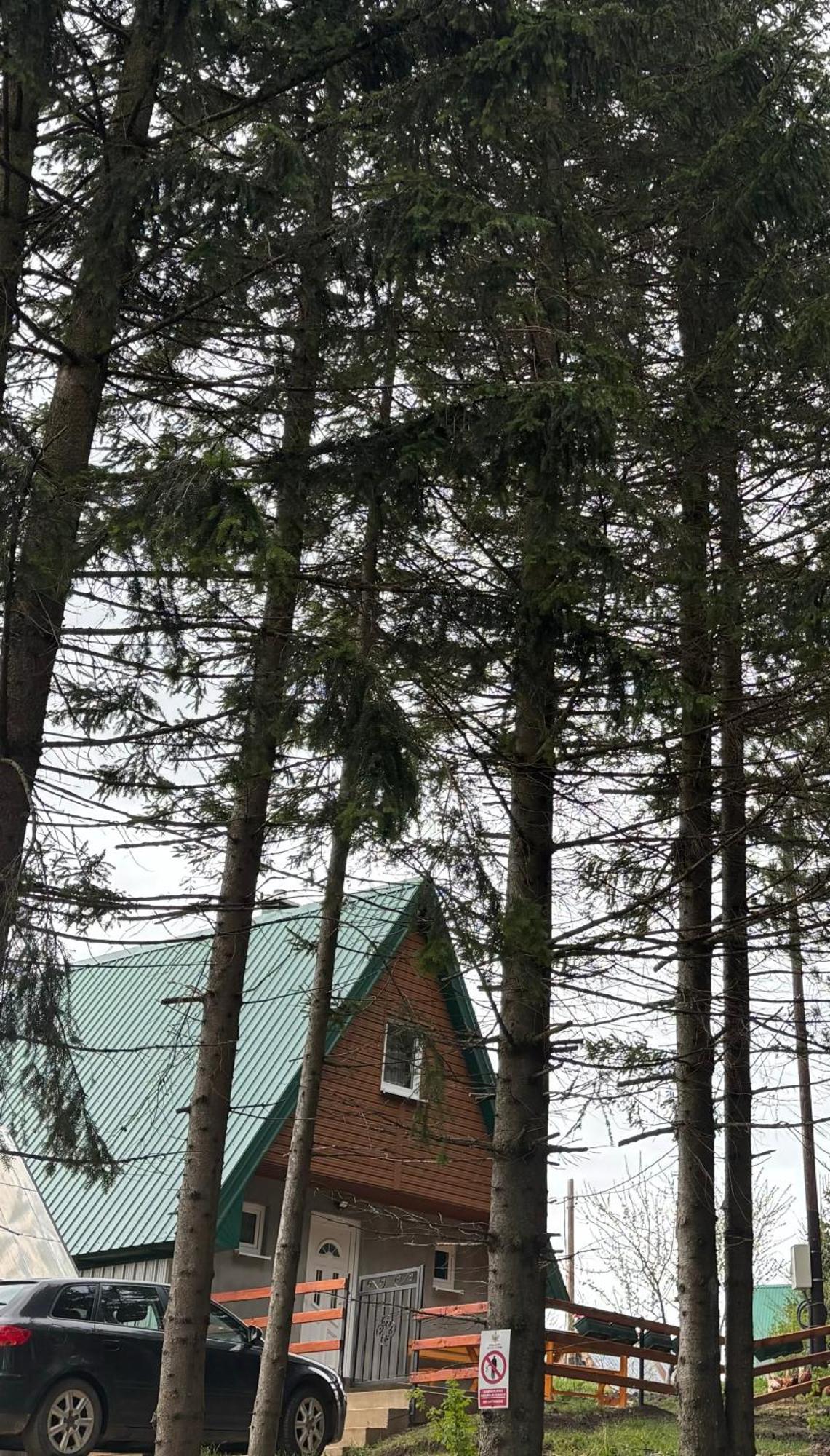 Holiday Home ,,Lazar" Žabljak Zewnętrze zdjęcie