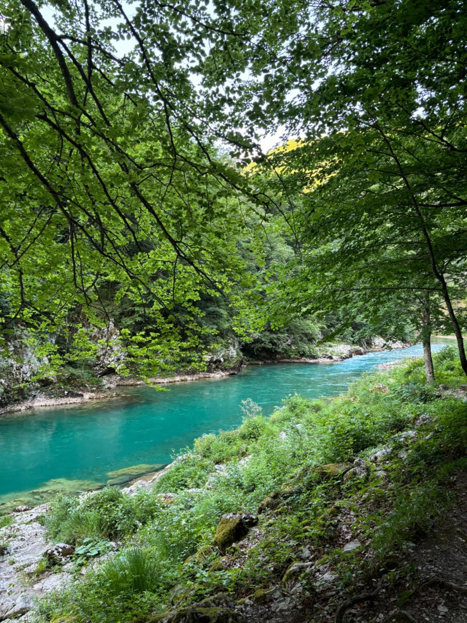 Holiday Home ,,Lazar" Žabljak Zewnętrze zdjęcie