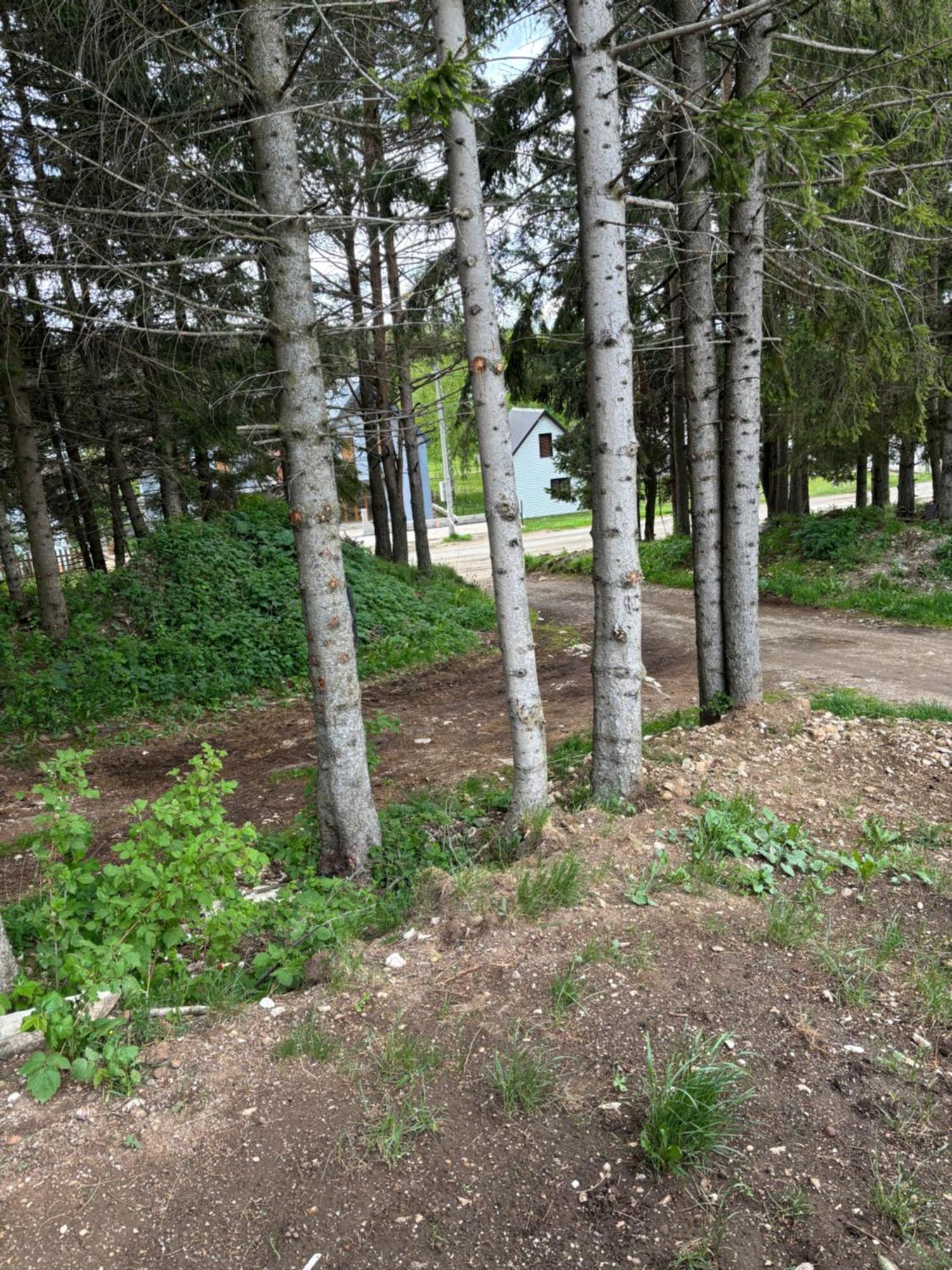 Holiday Home ,,Lazar" Žabljak Zewnętrze zdjęcie